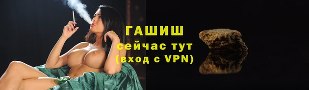 соль ск Надым