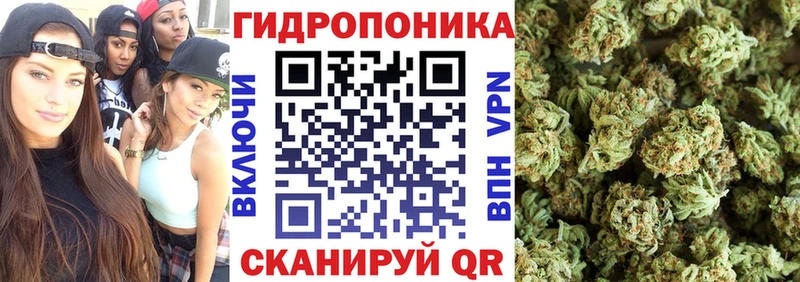 Конопля индика  Орлов 
